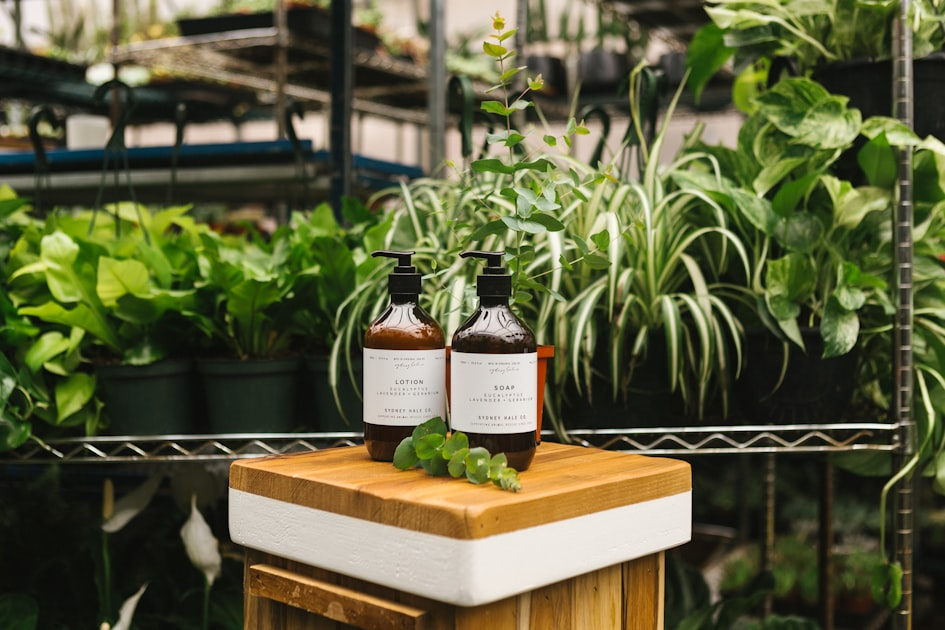 The Future of Botanical Research